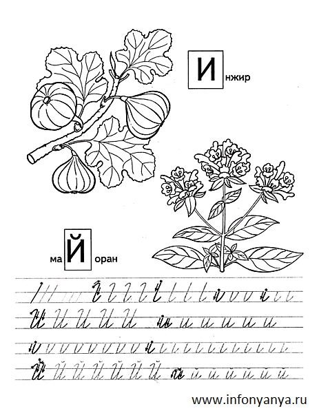 Прописи Фрукты и овощи_12