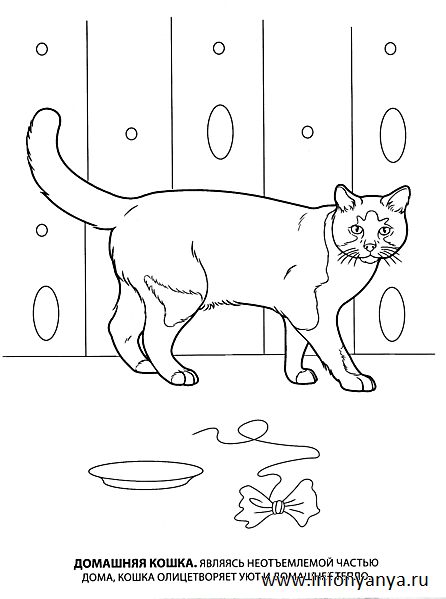 Кошки. Раскраска_6