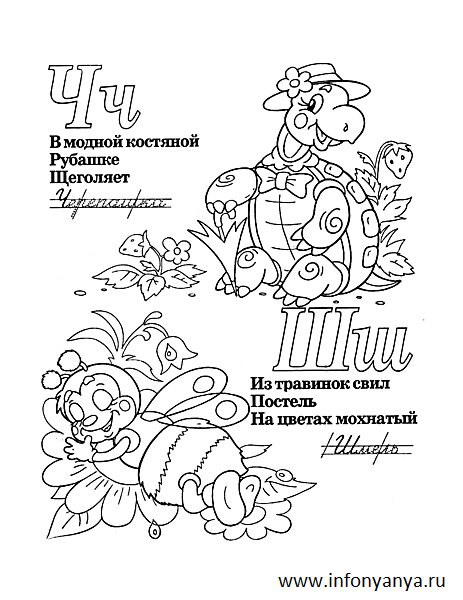 Азбука с животными №2. Раскраска_4