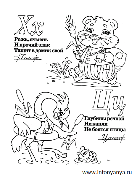 Азбука с животными №2. Раскраска_5