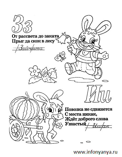 Азбука с животными №2. Раскраска_12