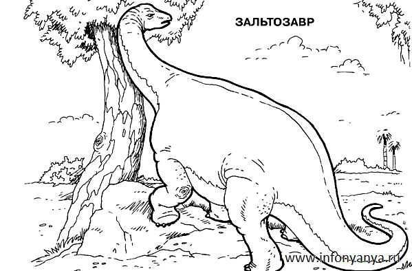 Динозавры. Раскраска_7