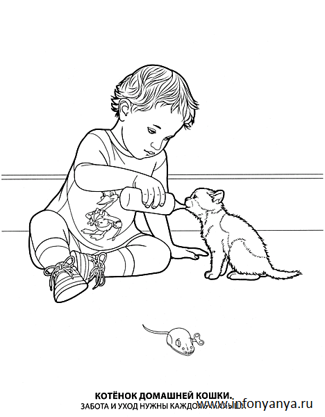 Кошки. Раскраска_1