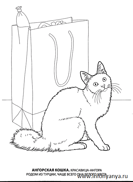 Кошки. Раскраска_11